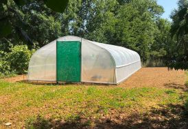 Serre tunnel Tonneau serre de jardin en acier galvanisé et polyéthylène