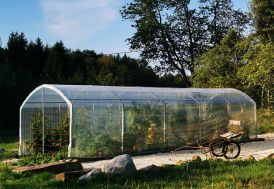 Serre de jardin en polyéthylène 