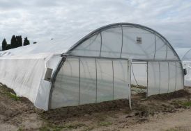 Serre tunnel professionnelle Richel en acier et polyéthylène 8 x 10 m