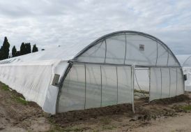 Serre tunnel professionnelle Richel en acier et polyéthylène 8 x 30 m