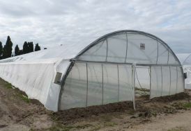 Serre tunnel professionnelle Richel en acier et polyéthylène 8 x 40 m