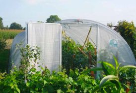 Serre Tunnel Serre de Jardin Serre Professionnelle en Acier et Polyéthylène Tonneau Flandre