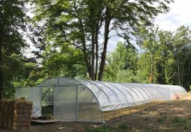 Grande Serre de Jardin en Acier Galvanisé et Polyéthylène Tonneau Normandie 