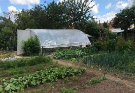 Serre de jardin Tonneau serre tunnel 27 m² Gothique 6 x 4,5 m 