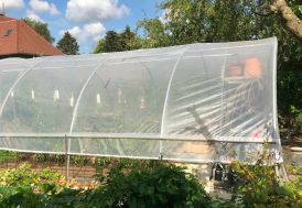Serre tunnel Tonneau Gothique 7,5 x 4,5 m 34 m² polyéthylène