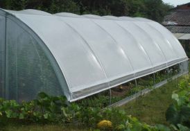 Serre Tunnel Tonneau en polyéthylène 40 m² - Gothique 9 x 4,5 m