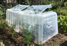 Serre de Jardin 2x2 m avec Filets Anti-Insectes en Polyéthylène et