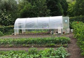 Serre tunnel Tonneau Jardinière avec bâche polyéthylène 18 m²