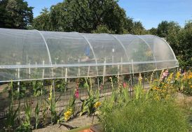 Serre tunnel Tonneau en polyéthylène Mini 10,5 x 3,7 m 39 m²