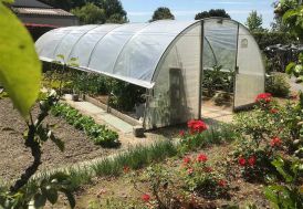 Serre de jardin Tonneau serre tunnel en polyéthylène Mini 9 x 3,7 m