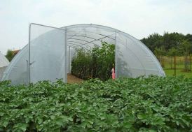 Serre Tunnel Tonneau en PVC Armé 61 m² - Super 10,5 x 5,8 m