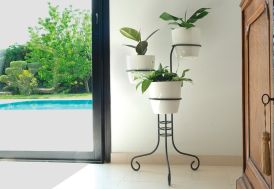 Support plante 3 pots Louis Moulin acier époxy - Anneaux Ø20 cm