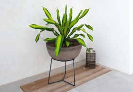 Support plante Louis Moulin acier époxy - Tripode Ø36 cm