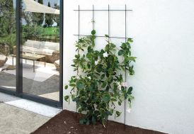 Treillis mural ou à piquer rectangulaire en acier époxy – 75 x 140 cm