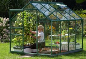 Serre de jardin en aluminium laqué vert et parois en verre trempé 3 mm