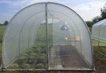 Serre Tunnel Tonneau en Polyéthylène 18 m² - Essentielle 6 x 3 m
