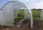 Serre Tunnel Tonneau en Polyéthylène 22,5 m² - Essentielle 7,5 x 3 m