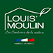 Louis Moulin