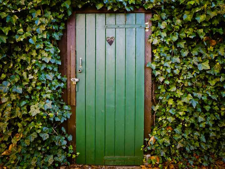 abri de jardin en bois porte verte