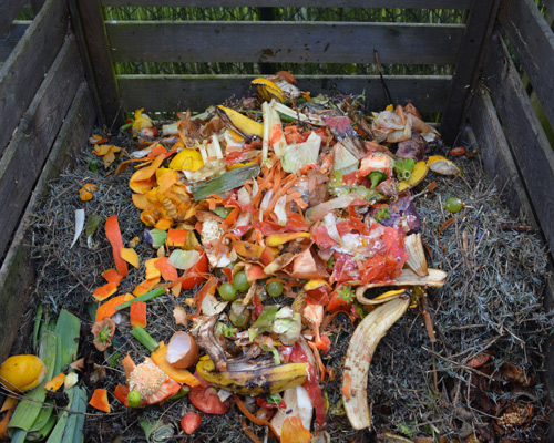 Comment faire du compost et Quoi Mettre au Bac ? - Écohabitation