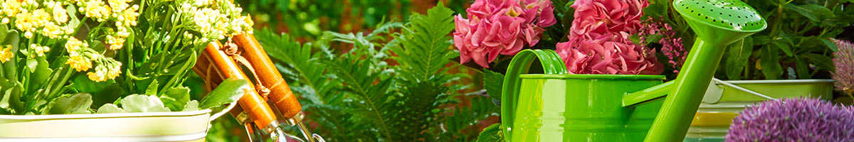 bannière préparer une jardinière de fleurs