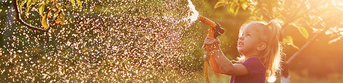 Choisir un récupérateur d'eau de pluie