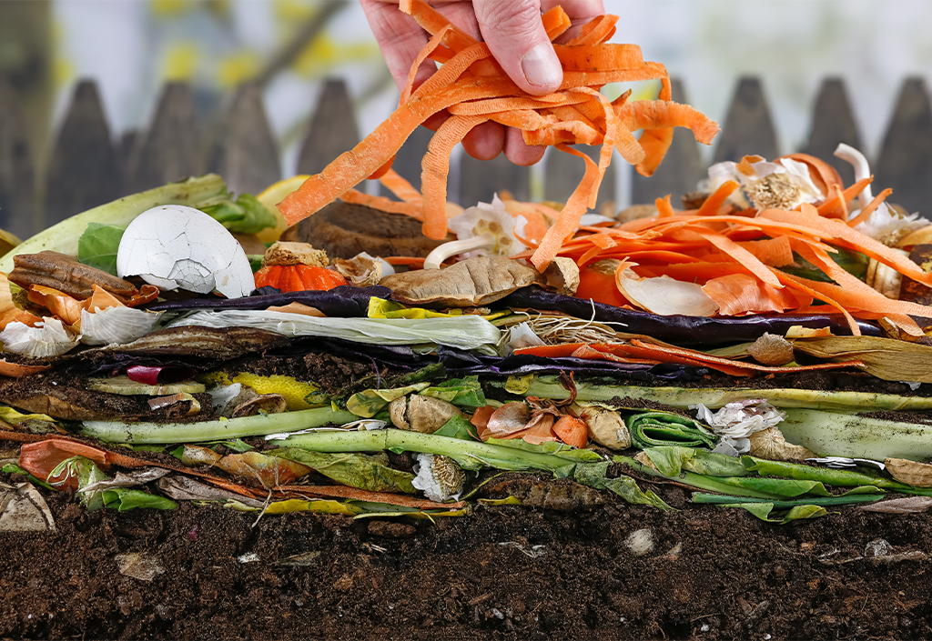 5 façons de cacher votre bac à compost  Composteur bois, Jardin naturel,  Composteur