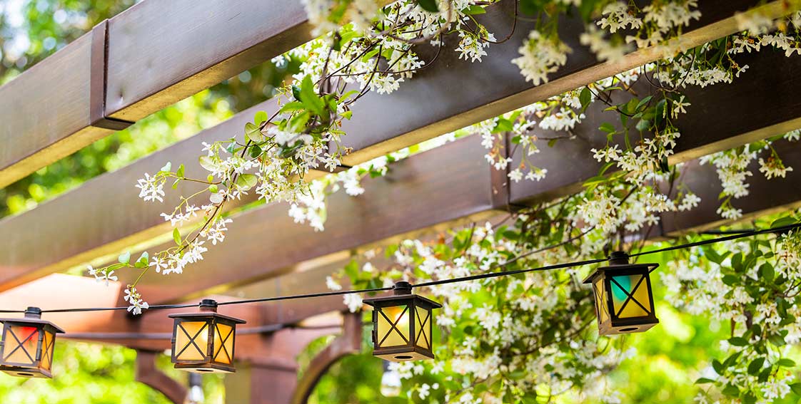 Couverture pergola fleurs et éclairage