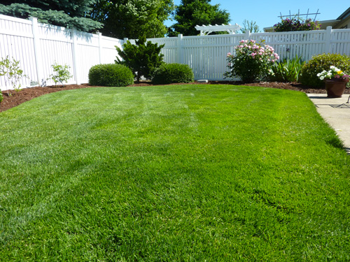 Comment bien choisir son gazon synthétique ? - Jardin, terrasse