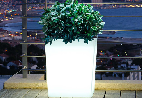 Jardinière blanche lumineuse.