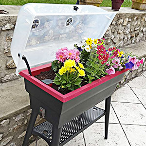 Jardinière mini serre