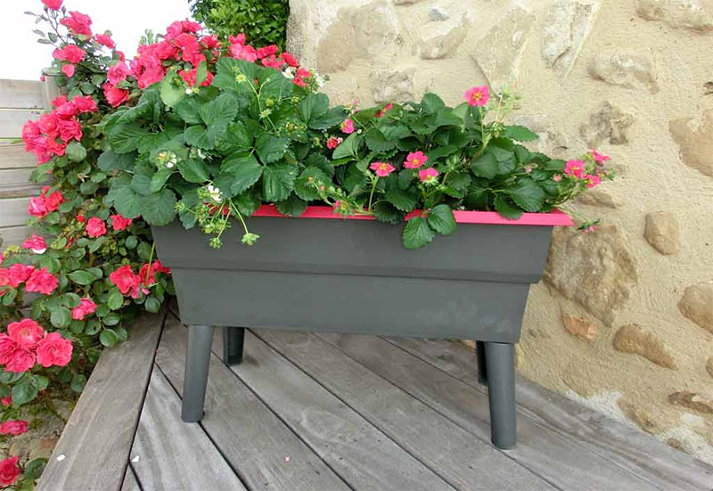 Jardinière en plastique gris et rose