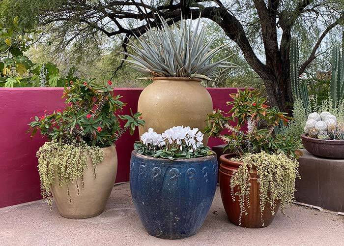 Pots de fleurs XXL