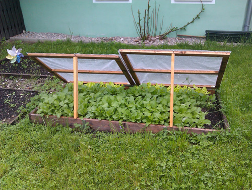 Serre châssis en bois.