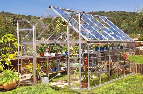 Serre en polycarbonate avec plantes