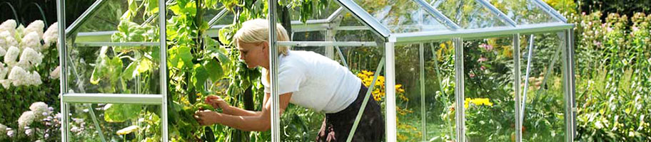 Serre jardin verre trempé