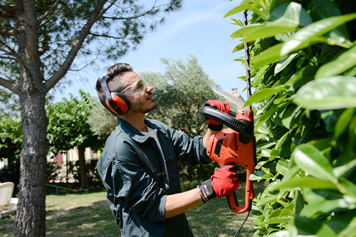 Service entretien du jardin