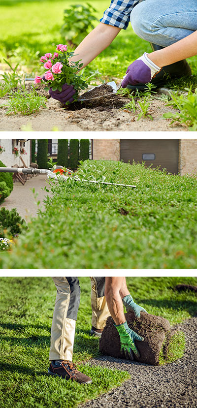 Services de jardinage professionnel