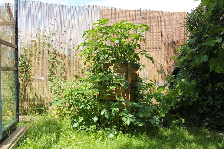 La Tour à Pommes de Terre.